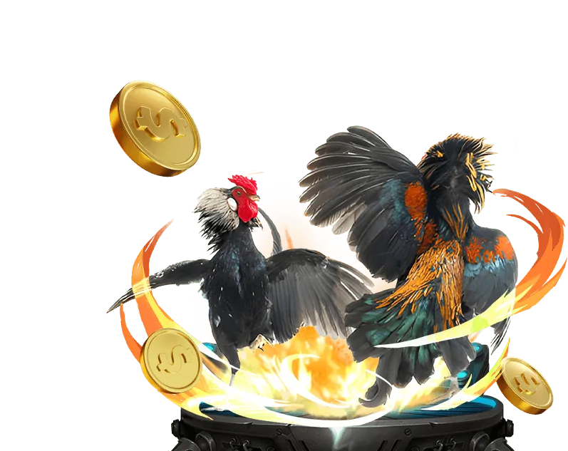 So sánh Texas Hold'em và Omaha